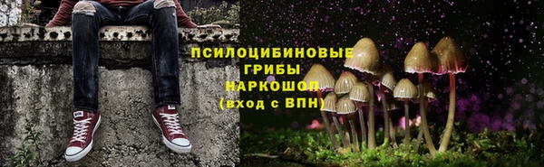 эйфоретик Балахна