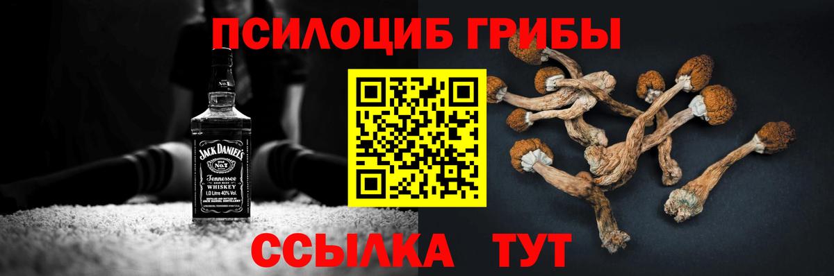 Галлюциногенные грибы прущие грибы Ессентуки